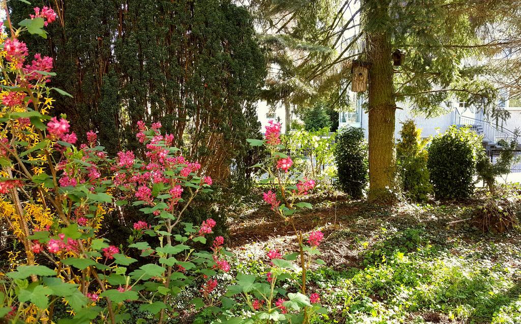 Ferienhaus Sanssouci Stahnsdorf ภายนอก รูปภาพ